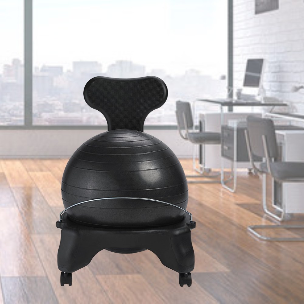 Balance Ball Chair: image 2
